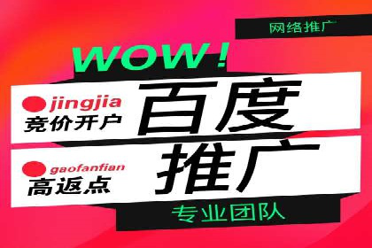 行业领先企业的SEM广告投放策略案例
